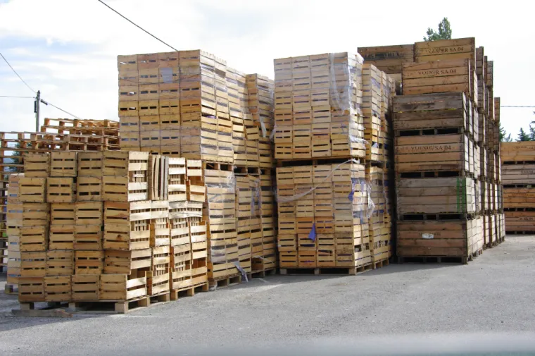 Vente de caisses en bois et palox pour professionnels dans l'Aisne, Aisne, A.V.S Recyclage Diffusion
